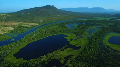 Top 10 Iconic Wetlands of the World: From India's Sundarbans to Pantanal