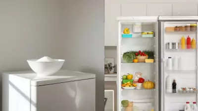 Transform Your Home's Energy: Vastu Tips for Your Fridge Top