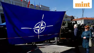 Trump's Greenland Ambition Tests NATO Unity: Could Alliance Face Historic Split?