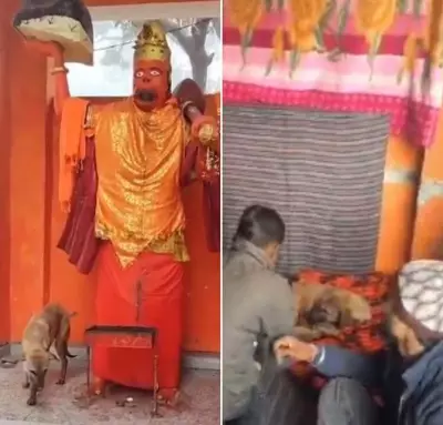 UP Dog's 36-Hour Parikrama Around Hanuman Idol: Miracle or Medical Condition?