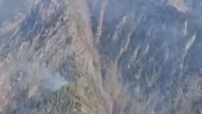 Uttarakhand Forest Fire Near Valley of Flowers Contained After 6 Days, Officials Confirm