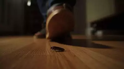 Why Squashing Cockroaches Makes Infestation Worse: 3 Hidden Dangers