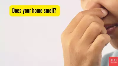 Why Your Indian Home Smells Bad? Amritsar Homemaker's Story Reveals Key Cause