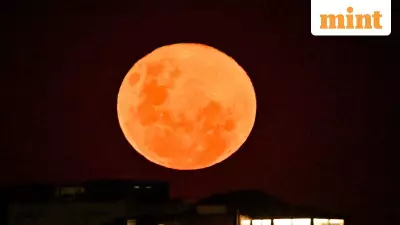 Wolf Supermoon 2026: Brighter, Bigger Full Moon to Dazzle India on Jan 3