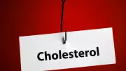10 Powerful Foods That Naturally Lower Cholesterol in 2026