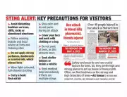 35 Schoolchildren Injured in Bee Attack During Pune Picnic at Madhe Ghat