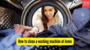 5 Expert Tips to Clean Your Washing Machine at Home & Save Money