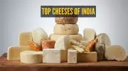 5 Must-Try Traditional Indian Cheeses: From Paneer to Bandel