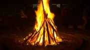 51+ Heartwarming Lohri Wishes for 2026: Celebrate the Harvest Festival