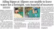 Alipore Zoo's Ailing Hippo Shows Signs of Recovery After Intensive Treatment