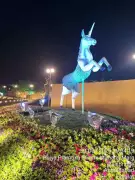 AMC's 14th International Flower Show 2026 to Celebrate 'Bharat Ek Gatha'