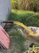 Amroha Cracks Down on Industrial Pollution After Farmer Protests Over Yellow Water