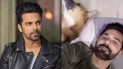 Anuj Sachdeva's 2026 Plea: Justice for Animals After Traumatic 2025 Incident
