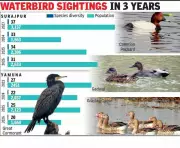 Asian Waterbird Census 2026 Reveals Sharp Decline in NCR's Bird Population