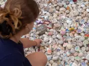 Australia's Gun Reform Bill Clears Key Hurdle, Passes Lower House of Parliament