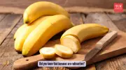 Bananas Are Radioactive! The Surprising Truth About Your Favorite Fruit