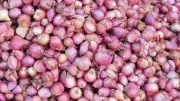 Bangladesh Halts New Onion Imports from India via Hili Port, Citing Farmer Interests