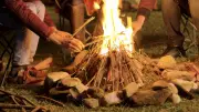 Bhogi 2026: Date, Time, Significance, and Rituals Explained