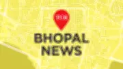 Bhopal: Four Stray Dogs Found Dead in Shahpura, One Confirmed Food Poisoning