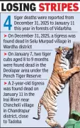 Bombay High Court Nagpur Bench Registers Suo Motu PIL on Rising Tiger Deaths in Maharashtra