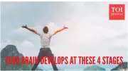 Brain Development Has 5 Key Stages: Milestones at Ages 9, 32, 66, 83