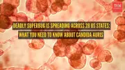 Candida Auris: US Health Alert as Drug-Resistant Superbug Spreads to 28 States
