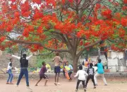 Chhatrapati Sambhajinagar's Next Challenge: From Vision to Execution