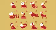 Chinese Horoscope Today: Daily Zodiac Insights for All 12 Signs
