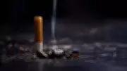 Cigarette Prices to Rise from Feb 1 as India Implements New Tobacco Tax Regime
