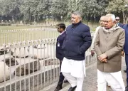 CM Nitish Kumar Inspects Waterlogged Kumhrar Park, Seeks Centre's Help for Conservation