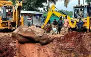 Coimbatore Forest Team Rescues Elephant Trapped in Mud Pit After Hours-Long Operation