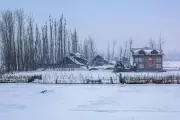 Cold Conditions Intensify in Kashmir, IMD Forecasts Wet Weather Spells