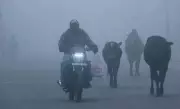 Cold Wave and Fog Persist in Punjab and Haryana, Day Temperatures Soar Above Normal