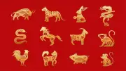 Daily Chinese Horoscope: Ancient Wisdom Guides Your Zodiac's Path Today