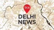 Delhi's Southern Ridge to Get 60,000 Saplings After Waste Removal