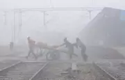 Dense Fog and Cold Wave Grip Punjab and Haryana, Disrupting Daily Life