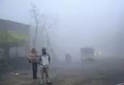 Dense Fog and Cold Wave Grip Punjab and Haryana, IMD Issues Warning
