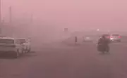 Dense Fog Blankets North India, Zero Visibility in Amritsar Till Jan 7