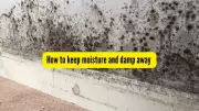 Effective Strategies to Prevent Moisture and Dampness on Walls and Almirahs
