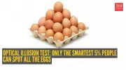 Egg Tray Optical Illusion: Only 5% Can Spot All 30 Eggs in 10 Seconds