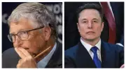 Elon Musk Slams Bill Gates Over Epstein Ties in Viral Video