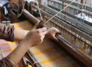 Ethamukkala Check Lungis from Andhra Pradesh File for GI Tag as 1800th Application