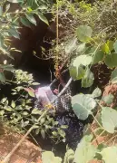 Farmer Rescued from 80-Foot Well in Coimbatore After Terrifying Fall