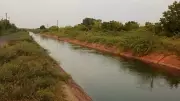 Four Family Members Vanish While Washing Clothes in Karnataka's Bhadra Canal