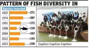 Ganga River Fish Diversity Hits 50-Year High with 230 Species Recorded