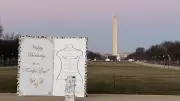 Giant Trump-Epstein Birthday Card Installation Sparks Controversy on National Mall