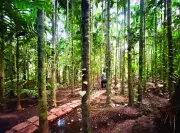 Goa TCP Withdraws Arambol Land Use Conversion for 3 Lakh Sqm