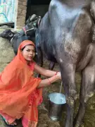 Gorakhpur's Lakhpati Didis: From Struggle to Republic Day Honors