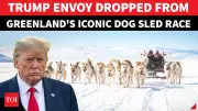 Greenland Dogsled Federation Snubs US Envoy Amid Trump's Arctic Ambitions