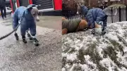 Greg the Italian Greyhound's Snow Boot Struggle Goes Viral in NYC